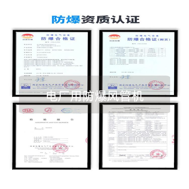 電廠用防爆風管機